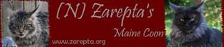 Link til Zarepta's Maine Coon
